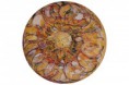 /album/creation-personelle-mandalas/rayon-du-couchant-dans-le-bois-profond-jpeg/